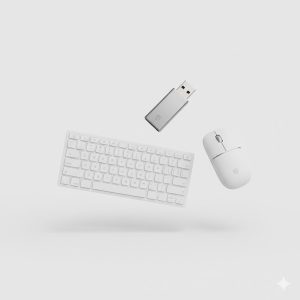 Computer Accessories