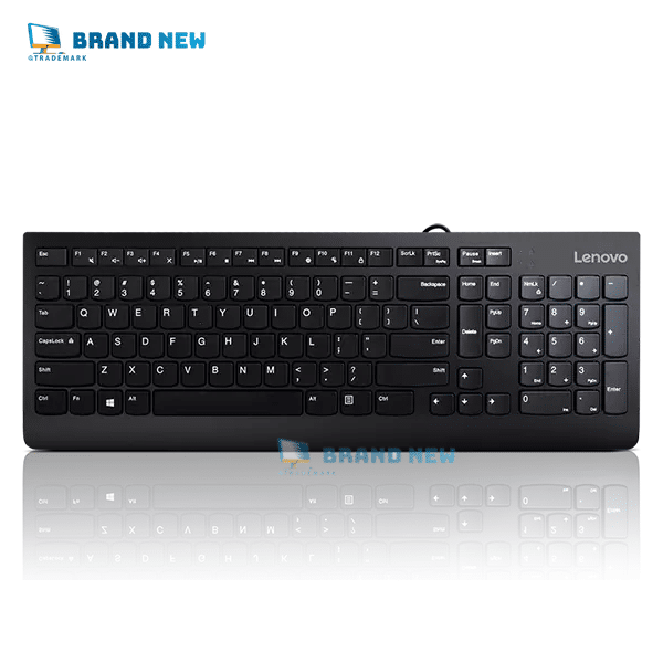 Lenovo 300 USB Keyboard Wired - Arabic - Black