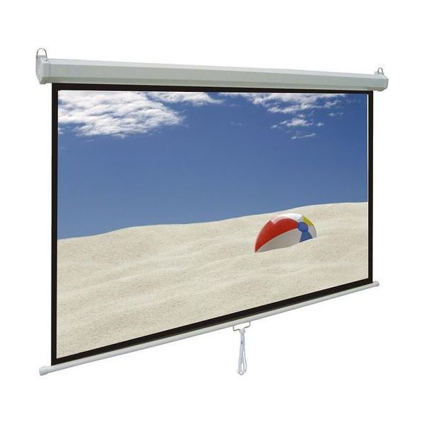 Portable Manual Wall Screen Pull Down Projector Screen