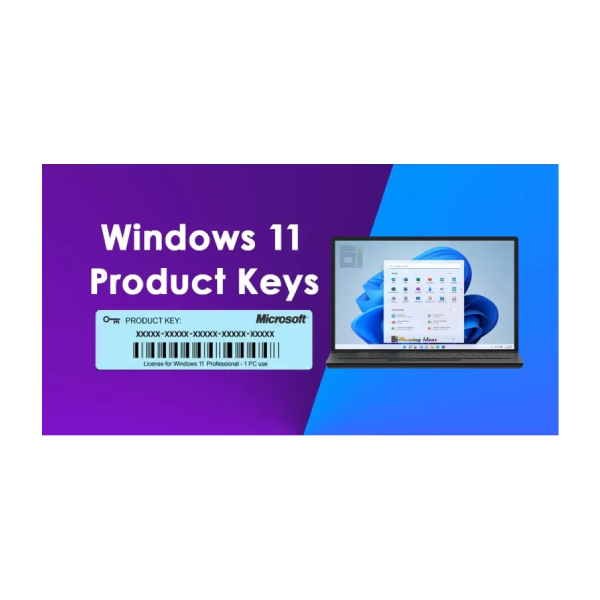 Windows 11 Pro 64-bit Key